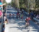3 GRAN PREMIO CYCLING TEAM SAN VINCENZO - MARINA DI BIBBONA 